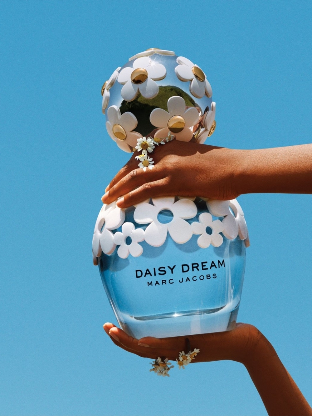 Daisy Dream 50ml